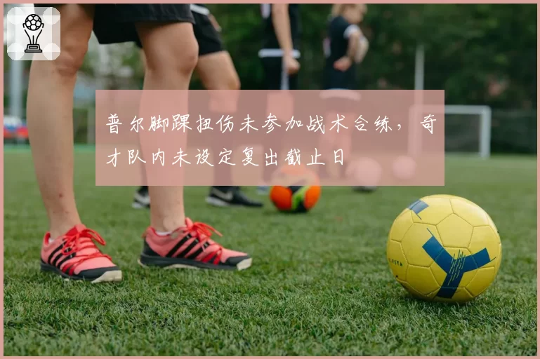 普尔脚踝扭伤未参加战术合练，奇才队内未设定复出截止日