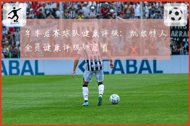 年季后赛球队健康评级：凯尔特人全员健康评级A+居首