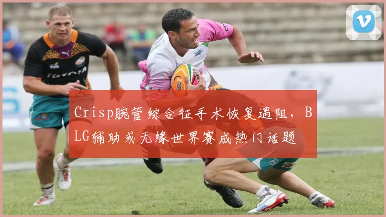 Crisp腕管综合征手术恢复遇阻，BLG辅助或无缘世界赛成热门话题