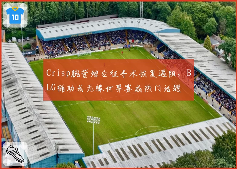 Crisp腕管综合征手术恢复遇阻，BLG辅助或无缘世界赛成热门话题