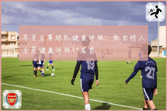 年季后赛球队健康评级：凯尔特人全员健康评级A+居首