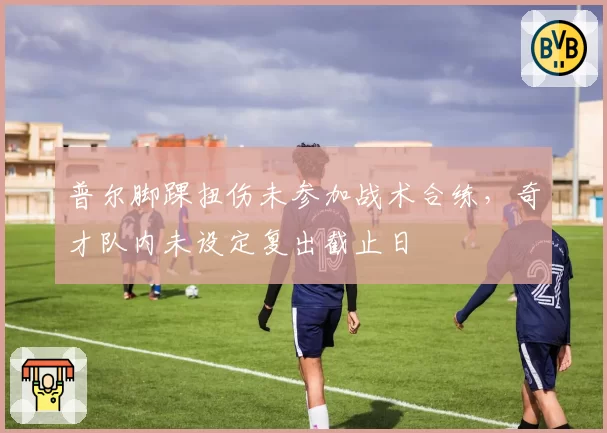 普尔脚踝扭伤未参加战术合练，奇才队内未设定复出截止日